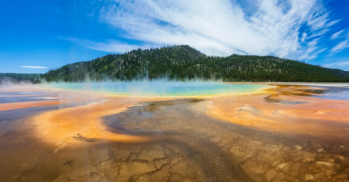 radiateur à eau chaude : profitez d'un chauffage efficace et confortable pour votre intérieur grâce à notre sélection de radiateurs à eau chaude performants et économiques.