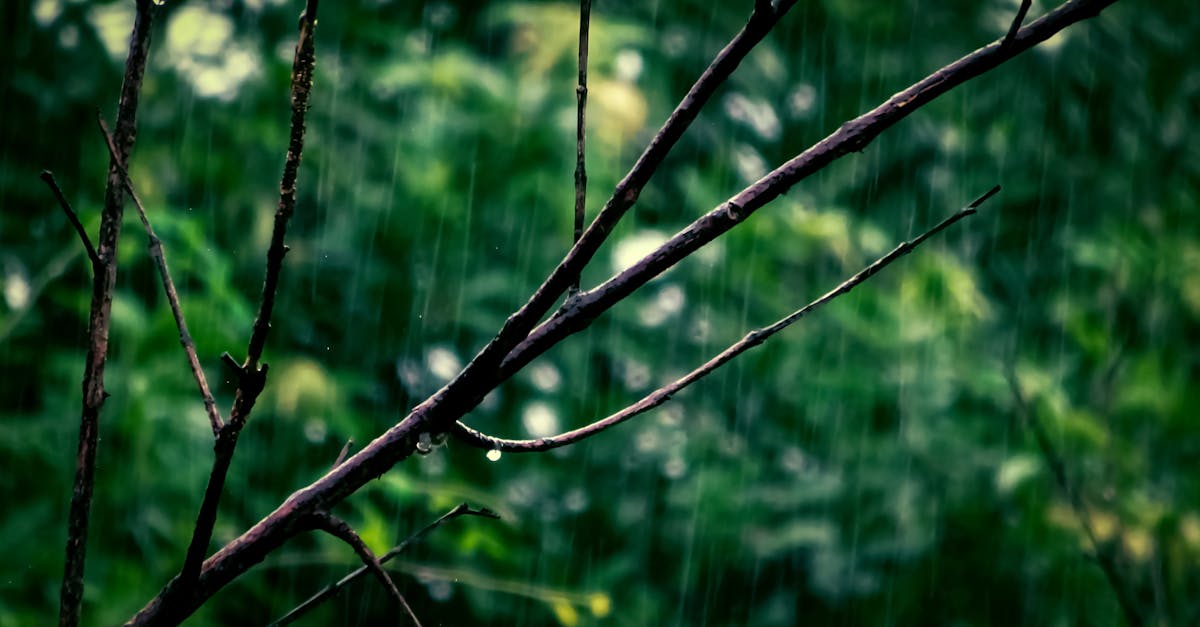 découvrez tout sur l'humidité : ses causes, effets sur la santé et les matériaux, ainsi que des astuces pour la contrôler efficacement dans votre environnement.