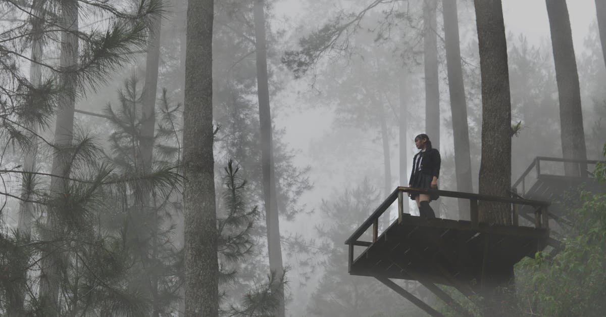 découvrez tout ce qu'il faut savoir sur l'humidité, son impact sur votre confort, la santé et comment la contrôler efficacement dans votre maison.