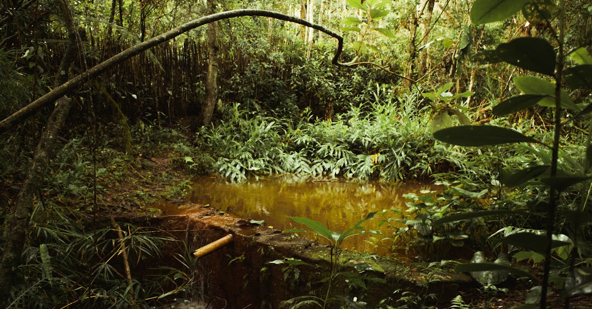 découvrez tout ce qu'il faut savoir sur l'humidité : définition, effets sur la santé et l'habitat, ainsi que des conseils pour la maîtriser efficacement.