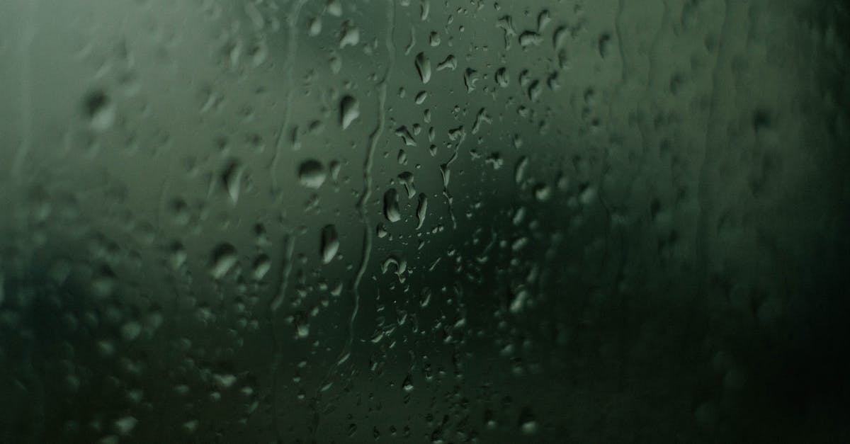 découvrez tout sur l'humidité : définition, impacts sur la santé et la maison, et conseils pour la contrôler efficacement.