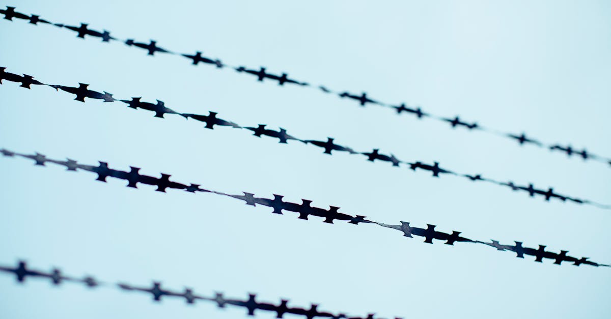 découvrez tout sur l’isolation : techniques, matériaux et conseils pour améliorer l’efficacité énergétique de votre maison, réduire les pertes de chaleur et augmenter votre confort au quotidien.