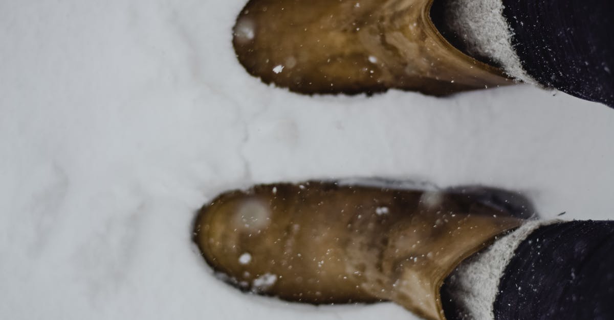 découvrez tout sur l’isolation : conseils, astuces et solutions efficaces pour améliorer le confort de votre habitation, réaliser des économies d’énergie et réduire votre facture énergétique.