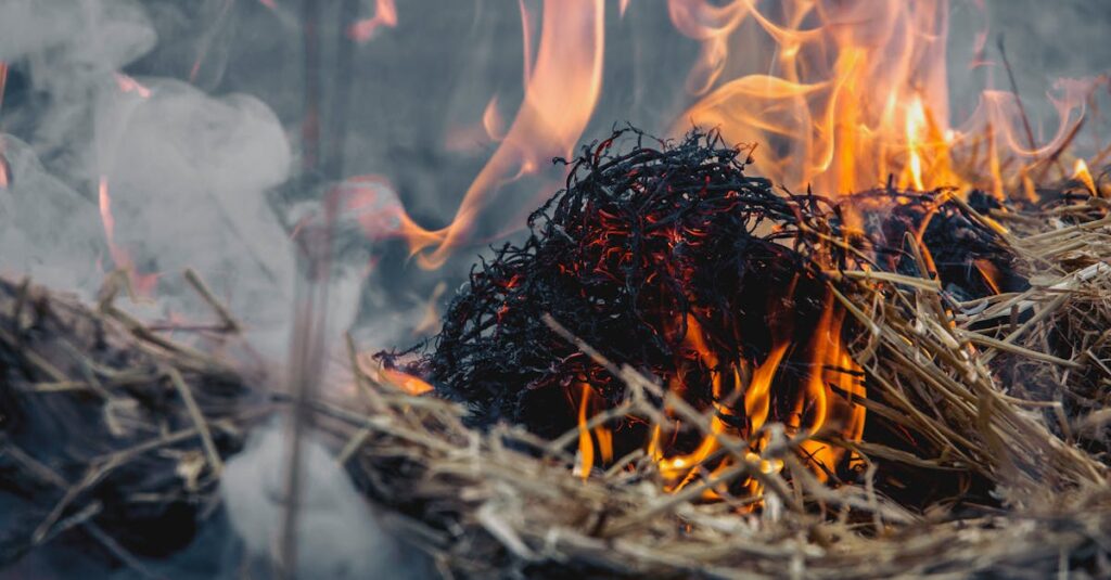 découvrez nos solutions précises pour la mesure d'intensité, adaptées à divers secteurs pour garantir des performances optimales et une analyse fiable.