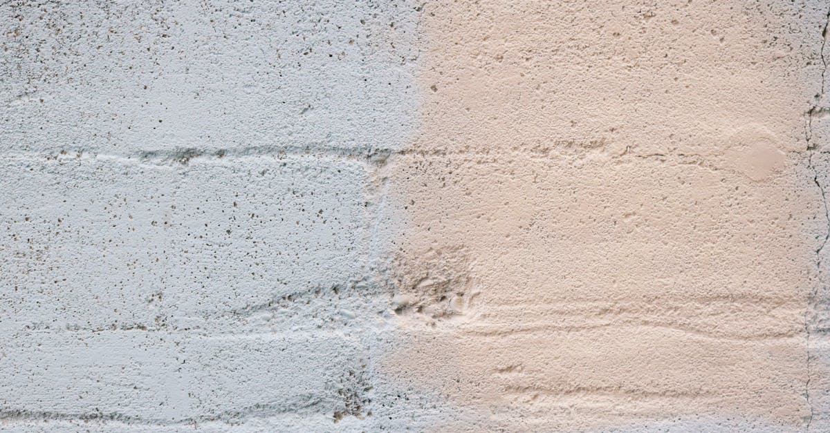 découvrez nos finitions de peinture durables et esthétiques, adaptées à tous vos projets de décoration et rénovation.