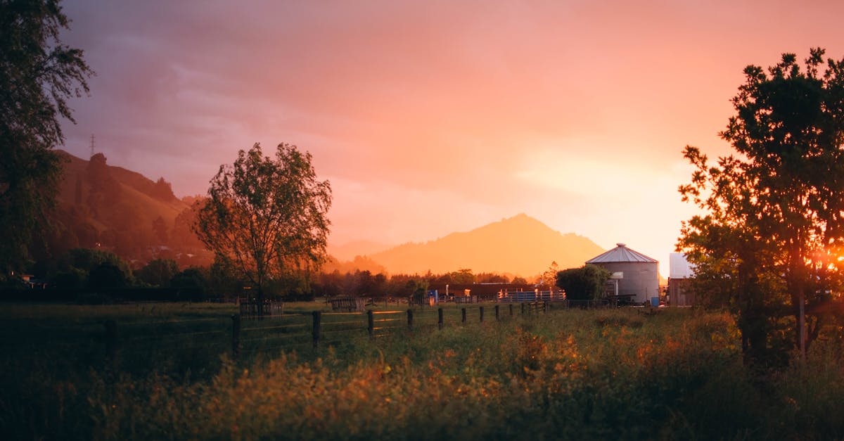 chaudière à pellets avec silo : solution de chauffage économique et écologique pour un confort optimal et un stockage facile des granulés de bois.