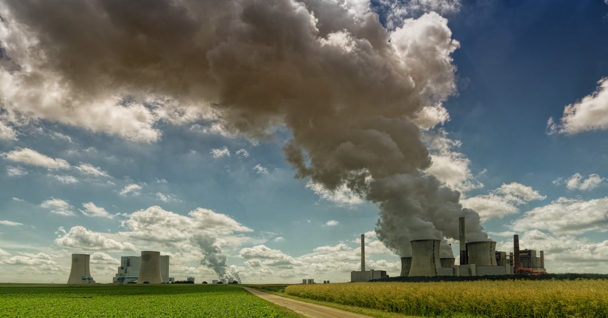 chaudière à granulés avec silo intégré pour un approvisionnement automatique et efficace en combustible, offrant une solution écologique et économique pour le chauffage de votre habitation.