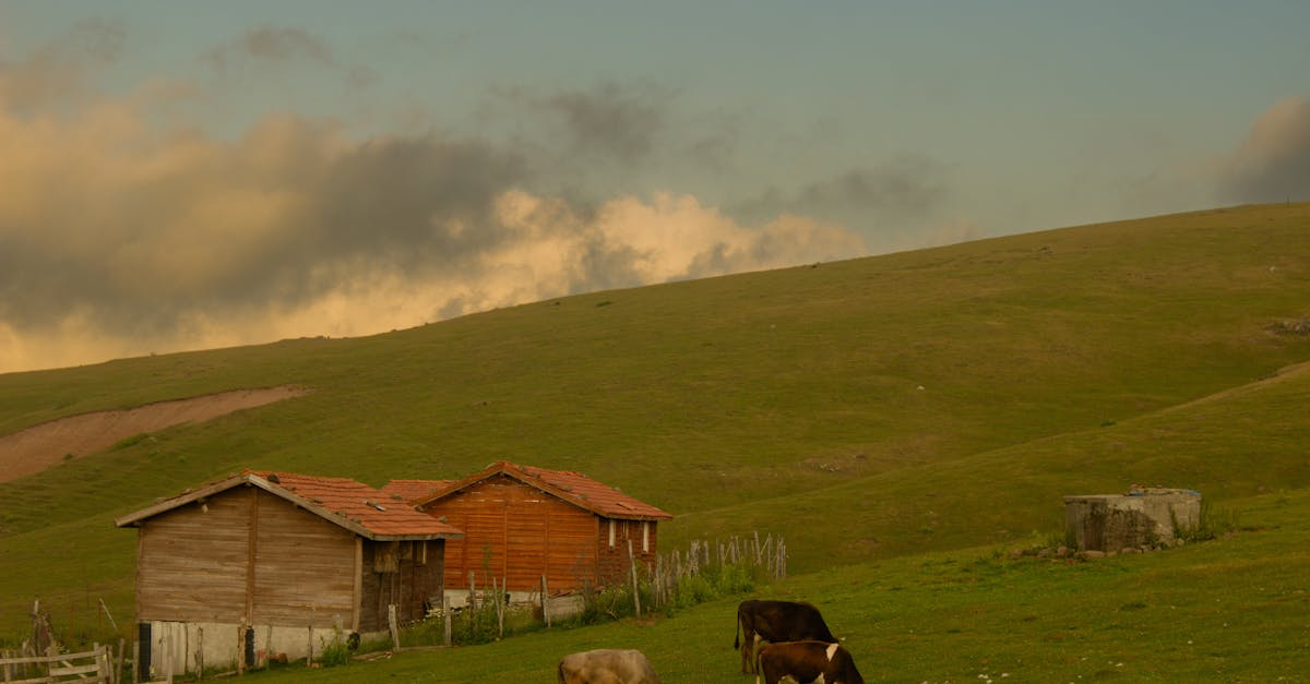 calcul de la pente de toit : méthodes et conseils pour déterminer facilement l'inclinaison idéale de votre toiture.