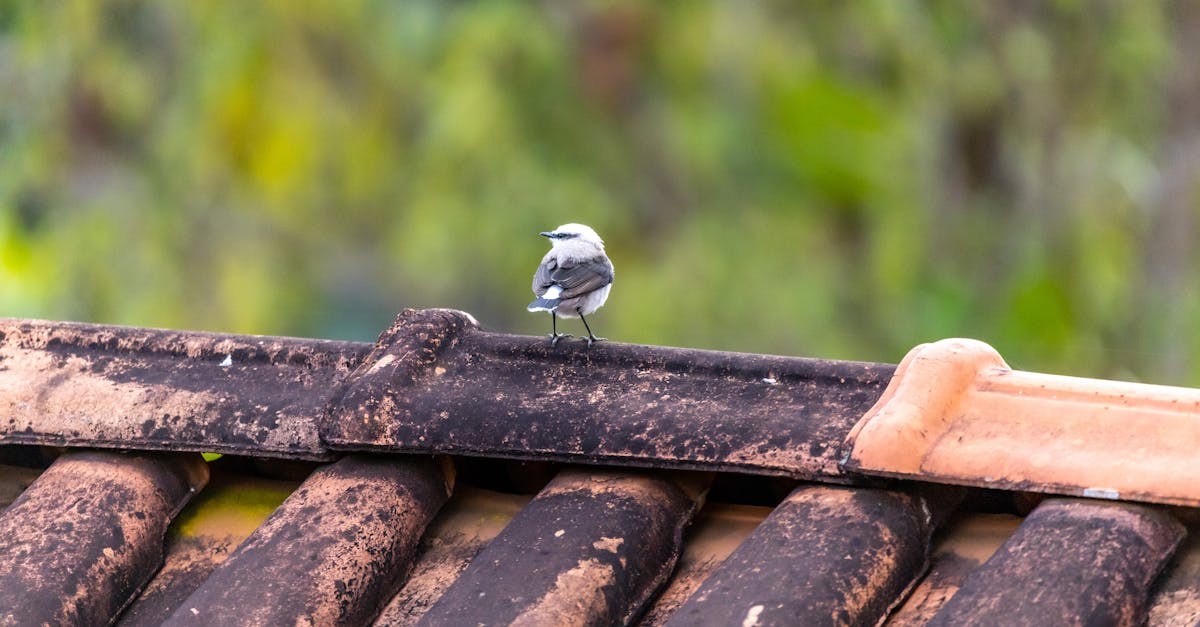 calculez facilement le nombre de tuiles nécessaires pour votre toiture grâce à notre outil précis et rapide de calcul de tuiles de toiture.