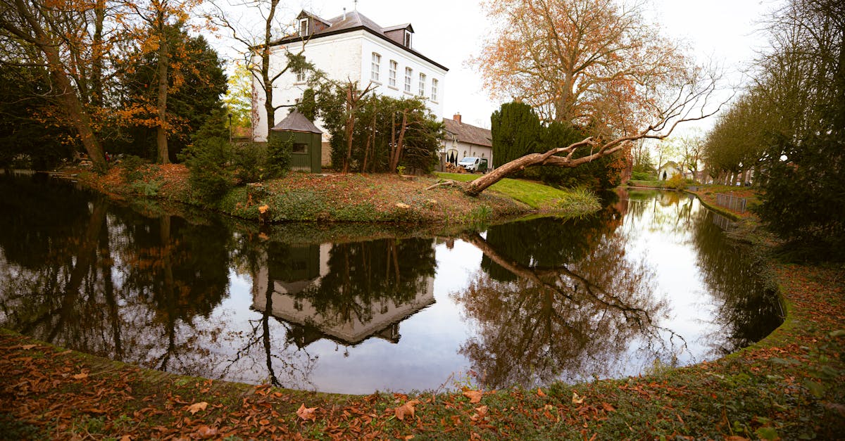 découvrez notre gamme de chauffe-eau fiables et économes en énergie, conçus pour assurer un confort optimal et une eau chaude constante dans votre domicile.