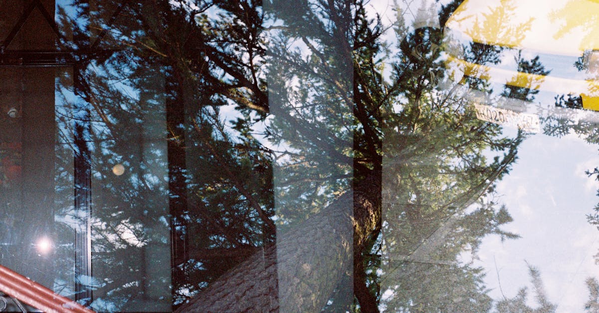 film isolant pour fenêtres : améliorez l'efficacité énergétique de votre maison en réduisant les pertes de chaleur et en augmentant le confort intérieur.