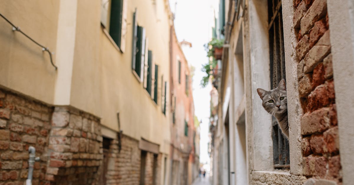 découvrez notre ventilateur de fenêtre efficace, conçu pour améliorer la ventilation naturelle et assurer un air frais dans toutes vos pièces.
