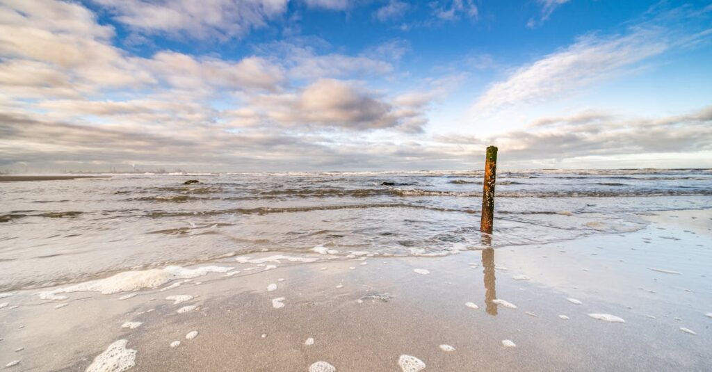 chaudière hybride à granulés de bois : solution écologique et économique combinant énergie renouvelable et haute performance pour le chauffage durable de votre habitation.