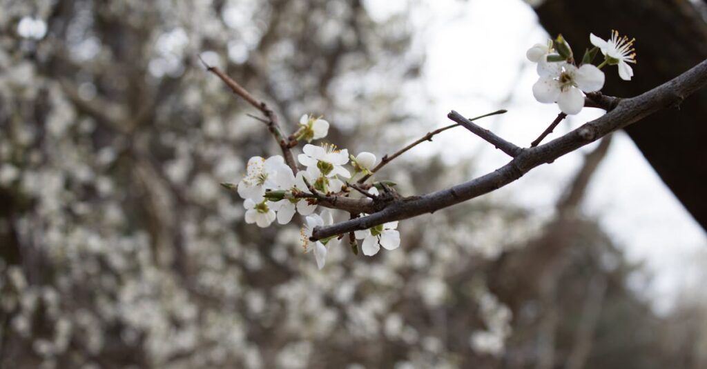 Le papier-peint adhésif : tout savoir sur son coût, ses atouts et ses limites découvrez notre collection de papiers peints adhésifs faciles à poser, parfaits pour décorer vos murs sans effort et sans dommage. transformez votre intérieur en un clin d'œil avec des designs modernes et variés.