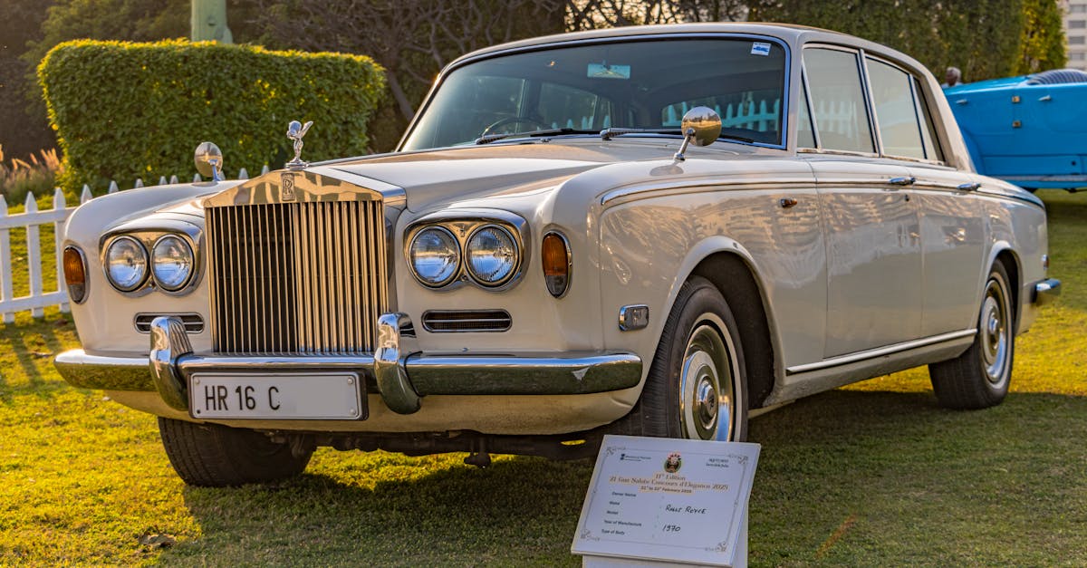 découvrez notre large sélection de papiers peints adhésifs faciles à poser, parfaits pour personnaliser et renouveler votre intérieur sans effort.