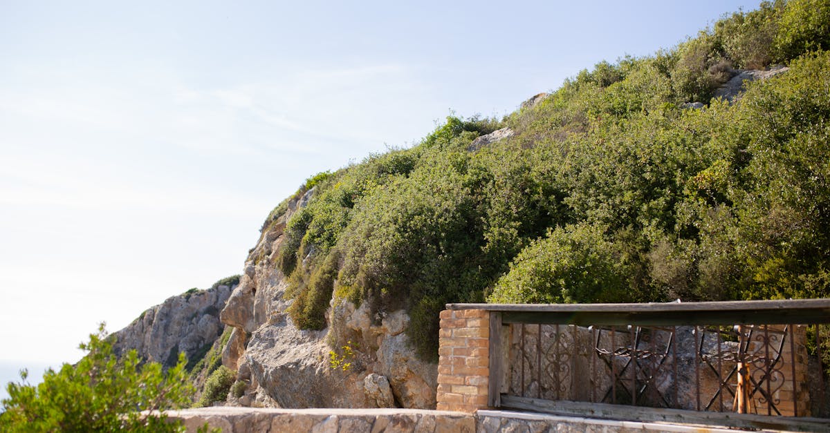 découvrez notre terrasse en pierre bleue, élégante et durable, parfaite pour sublimer votre espace extérieur avec charme et style.