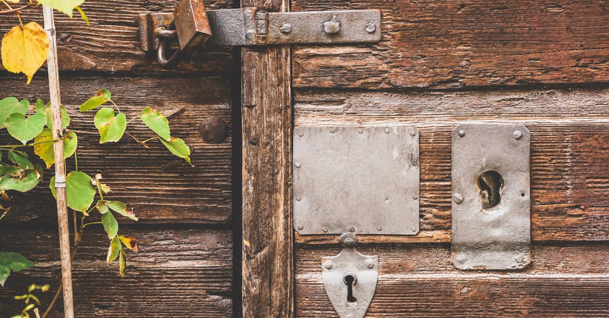 sécurisez l'entrée de votre bâtiment avec des portes d'accès robustes et fiables, offrant protection optimale contre les intrusions.