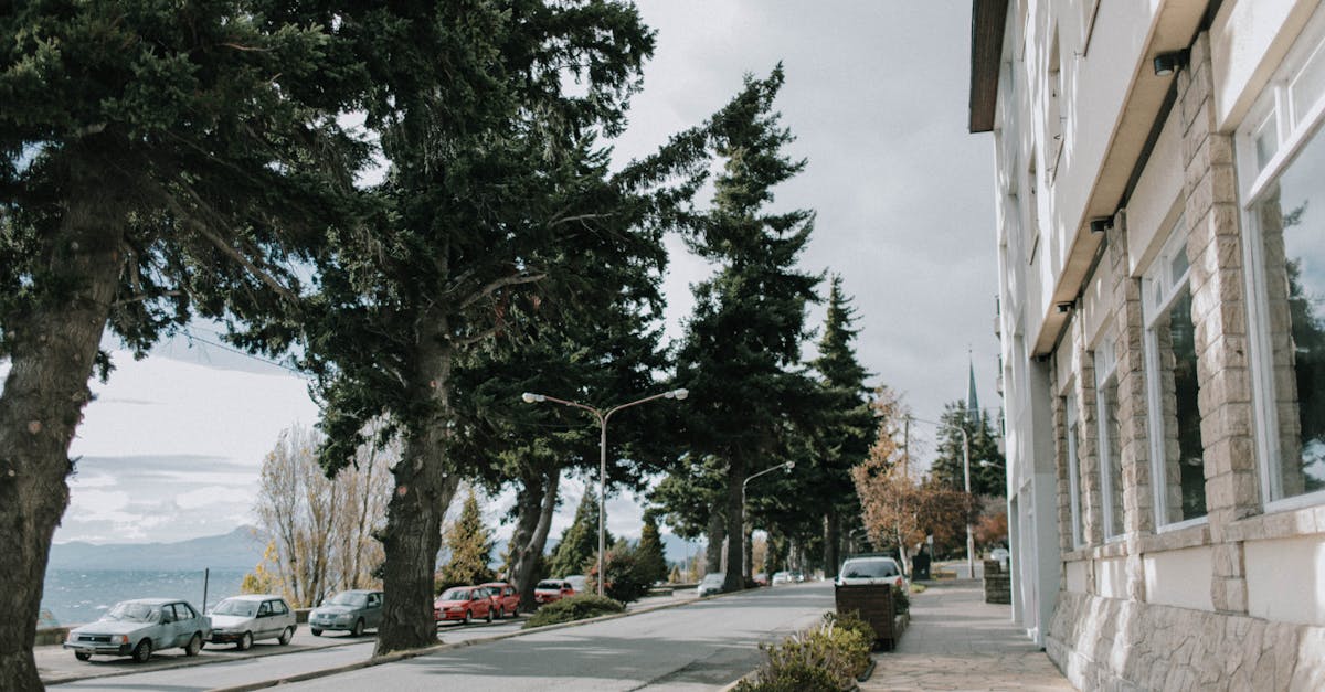 optimisez votre allée en béton grâce à des techniques efficaces pour améliorer durabilité, esthétique et entretien.