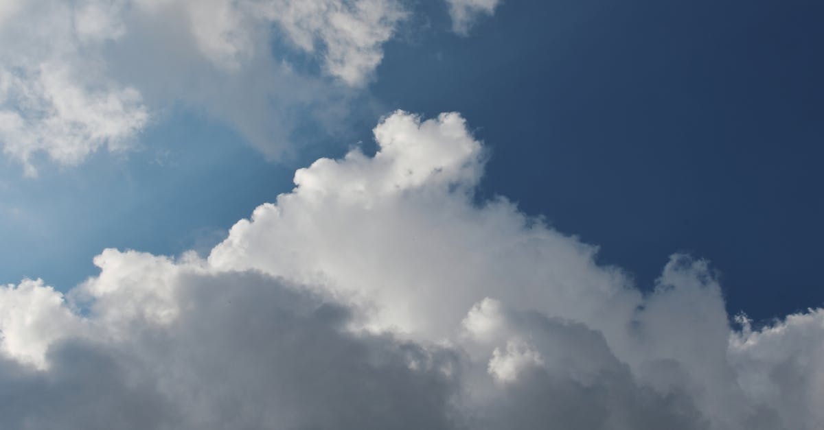 découvrez les coûts des climatiseurs daikin, une référence en efficacité énergétique et confort, et trouvez l'option adaptée à votre budget.