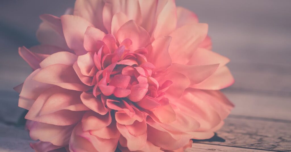 découvrez nos solutions de terrasses sur plots pour une installation facile, durable et esthétique. idéal pour créer un espace extérieur modulable et résistant.