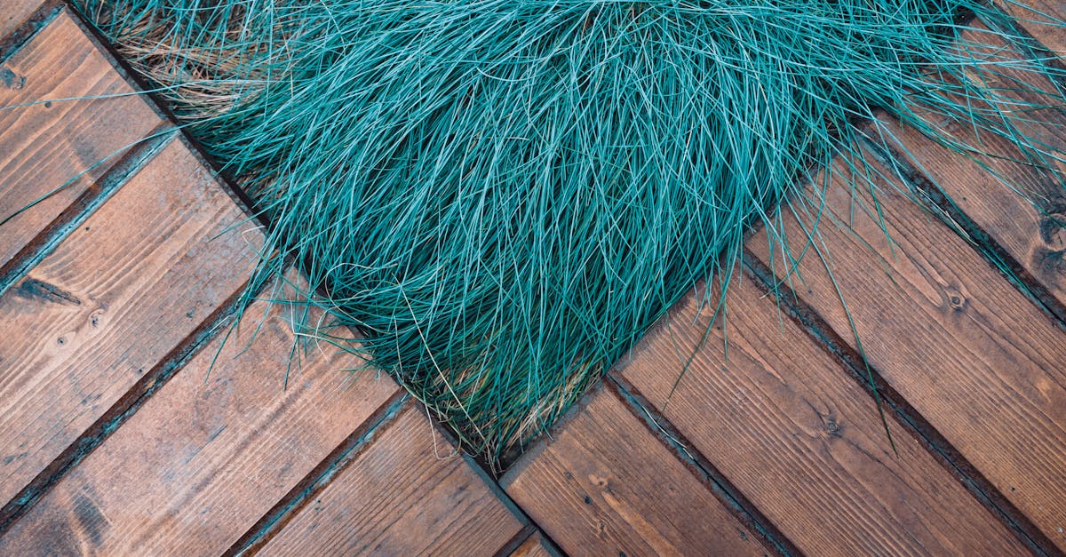 découvrez nos solutions de terrasses sur plots pour une installation facile, durable et parfaitement nivelée, idéale pour tous types d'espaces extérieurs.