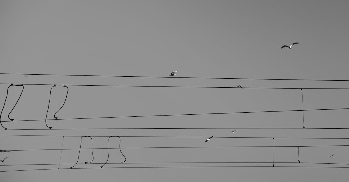 guide complet pour le dimensionnement des câbles électriques : choisissez la bonne section de câble pour garantir la sécurité et l'efficacité de vos installations.