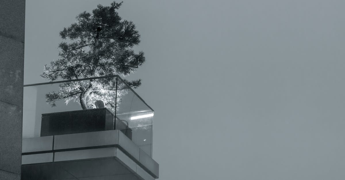 découvrez le béton à granulats apparents, une solution esthétique et durable pour vos surfaces extérieures et intérieures, offrant texture et résistance.