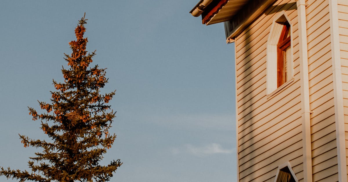 découvrez notre gamme d'habillages extérieurs de haute qualité, alliant esthétisme et protection pour sublimer et protéger votre bâtiment.