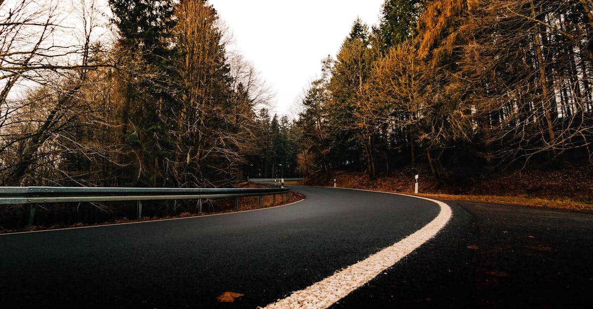 découvrez nos allées en gravier durables et esthétiques, parfaites pour améliorer l'entrée de votre maison avec style et praticité.