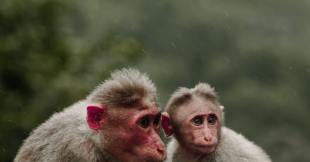 découvrez des solutions efficaces pour la gestion de l'humidité afin d'améliorer le confort et préserver votre intérieur contre les dommages liés à l'humidité.