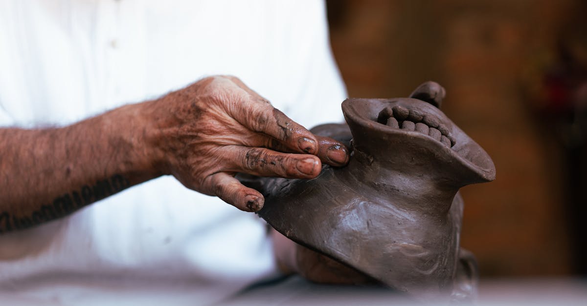 découvrez tout sur la moisissure : causes, prévention et solutions pour un environnement sain et sans humidité.