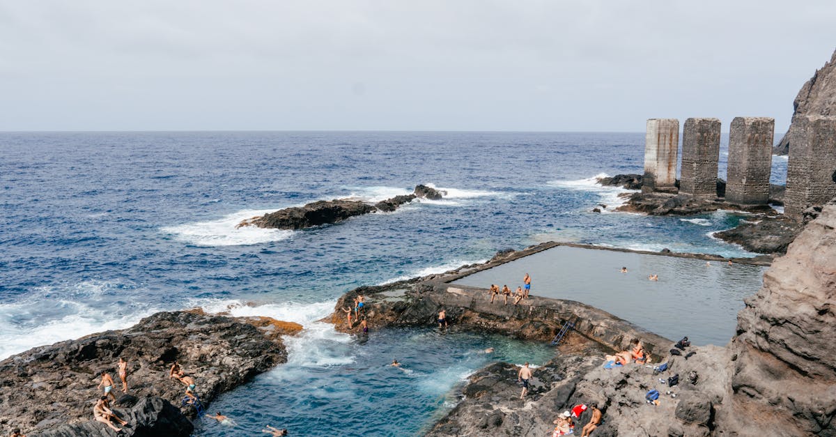 découvrez les piscines naturelles, une alternative écologique et esthétique aux piscines traditionnelles, utilisant des plantes et un système de filtration biologique pour une eau pure et saine.