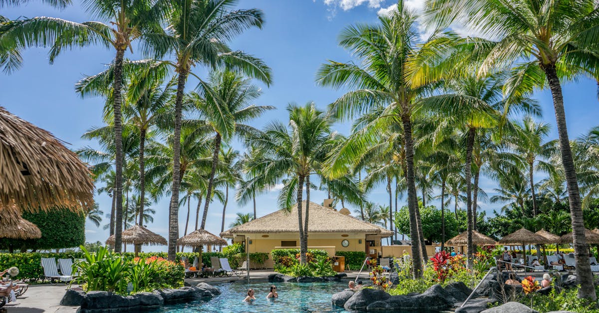 découvrez les piscines naturelles, des bassins écologiques alliant beauté et respect de l'environnement pour une baignade saine et durable.