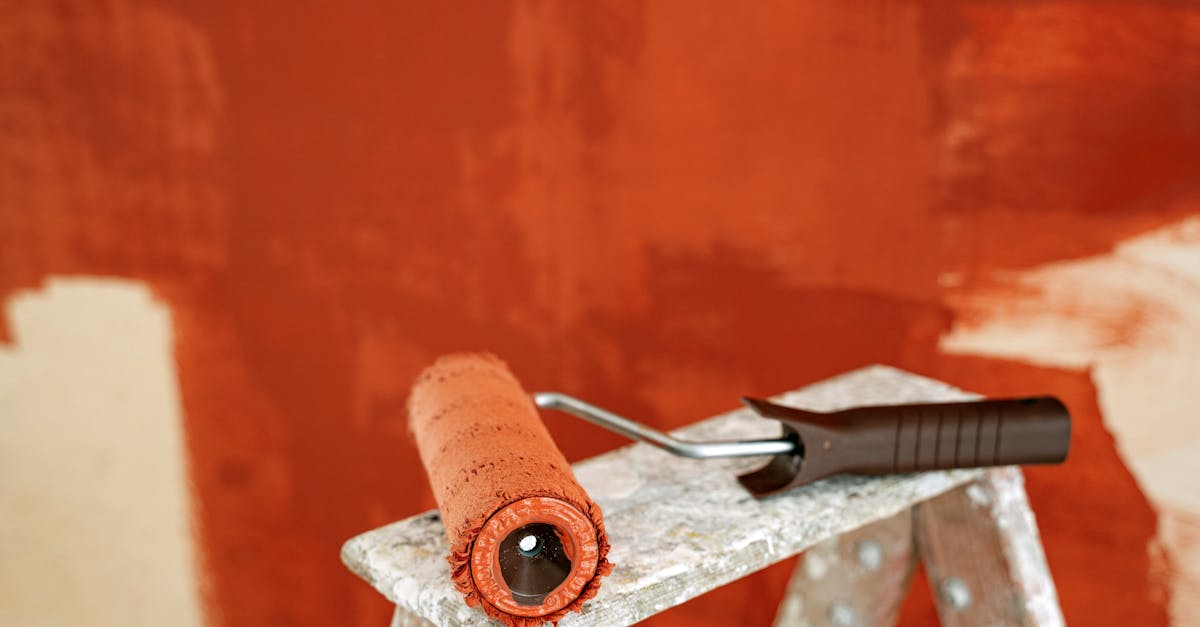 découvrez notre rouleau à peinture de qualité professionnelle pour des finitions parfaites et une application facile sur toutes vos surfaces.