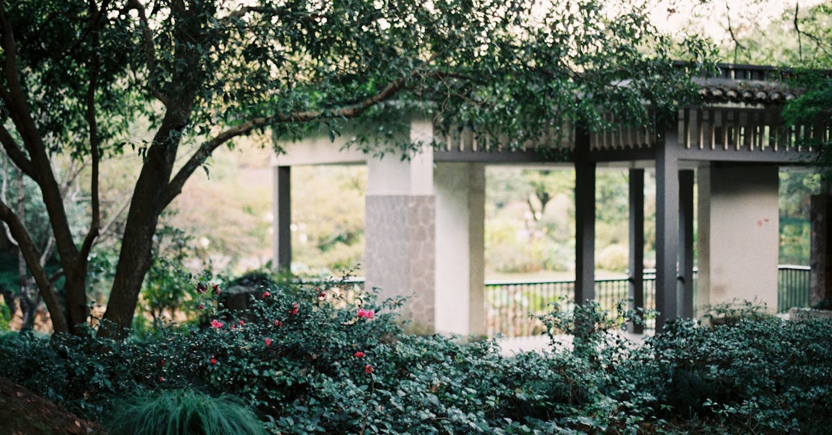 découvrez notre sélection de pergolas élégantes et robustes pour embellir votre jardin et créer un espace ombragé agréable toute l'année.