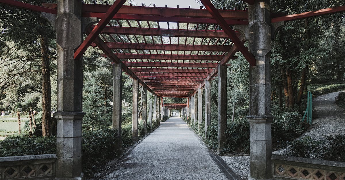 découvrez notre sélection de pergolas élégantes et durables, idéales pour embellir votre jardin et profiter de l'extérieur en toute saison.
