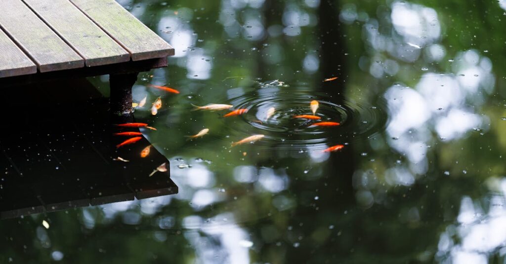 calculez facilement le volume d'eau de votre piscine pour un entretien optimal et une utilisation sécurisée.