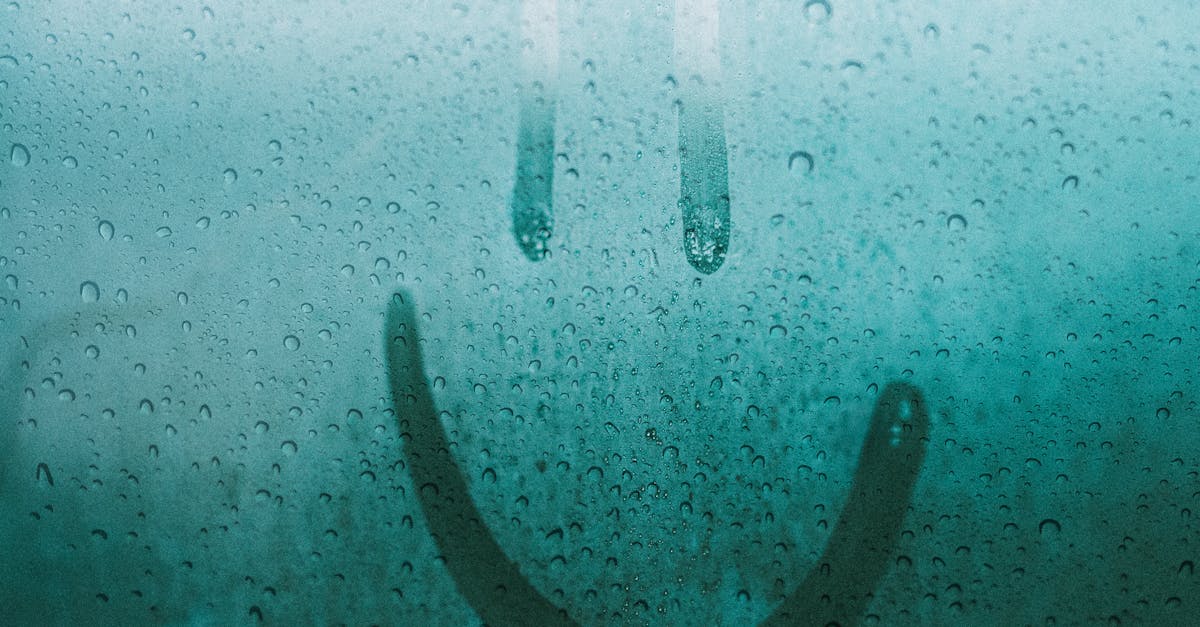 éliminez efficacement les odeurs d'humidité grâce à nos solutions pratiques et rapides pour un intérieur frais et sain.