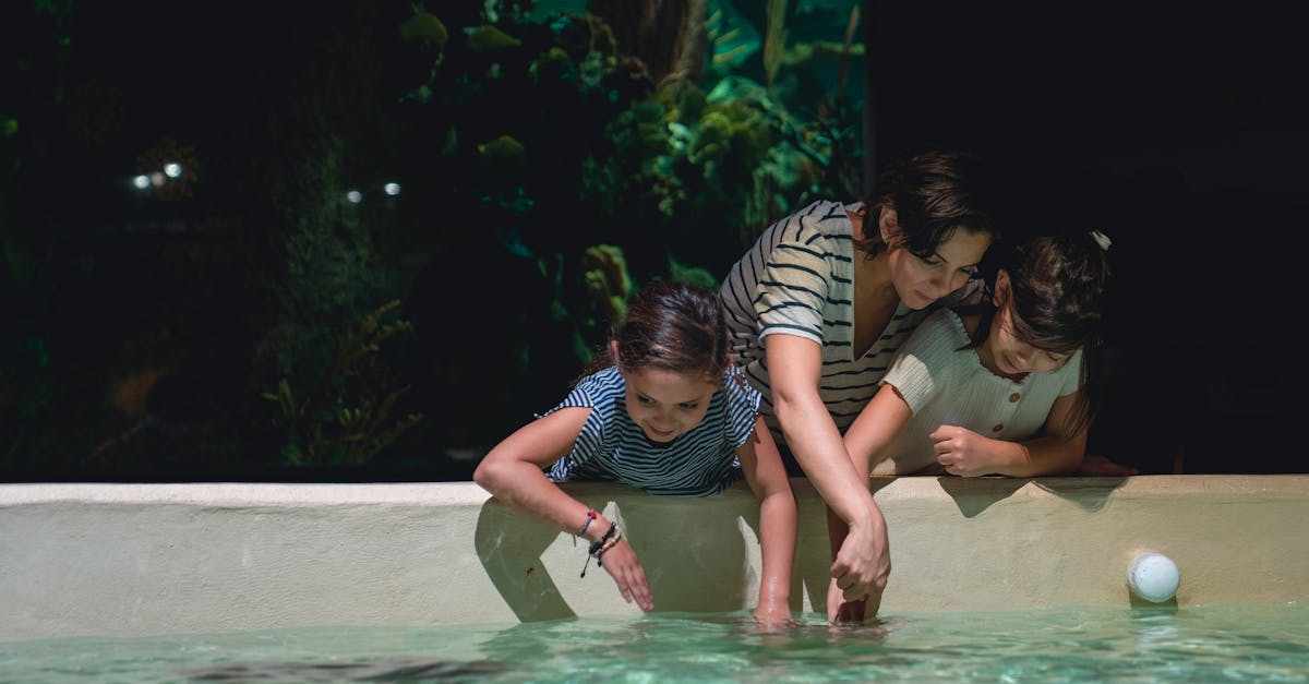 tout savoir sur les fosses septiques : fonctionnement, entretien et conseils pour une gestion efficace des eaux usées domestiques.