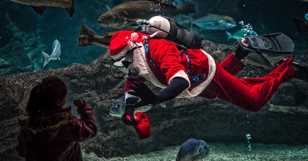 découvrez tout sur la fosse septique : fonctionnement, entretien, conseils pour une installation efficace et respectueuse de l’environnement.