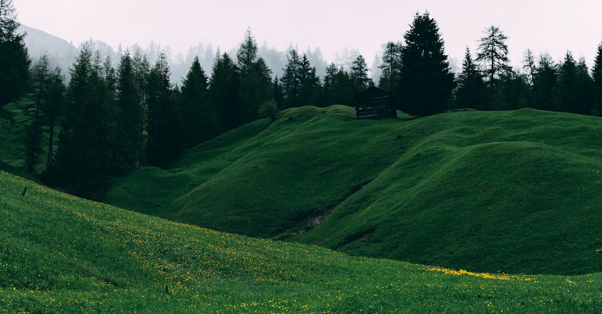 découvrez les méthodes précises pour la mesure des pentes, essentielles en topographie, construction et ingénierie pour garantir la sécurité et la qualité des travaux.