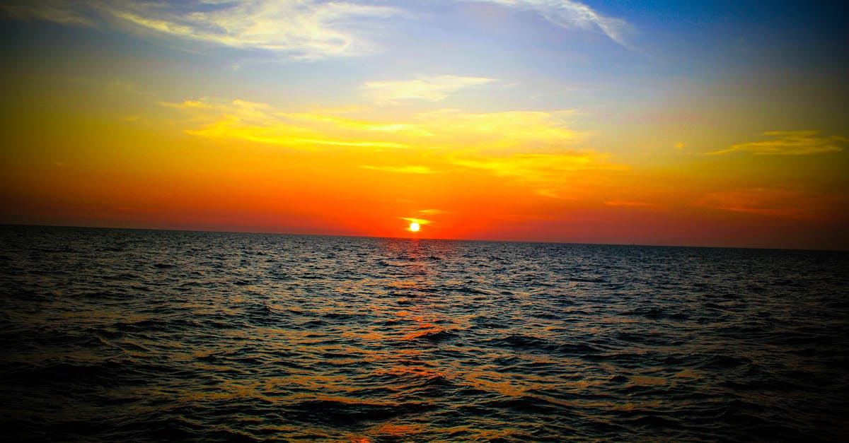 découvrez notre chauffe-eau solaire efficace et écologique, idéal pour réduire votre consommation d'énergie tout en assurant une eau chaude durable et économique.