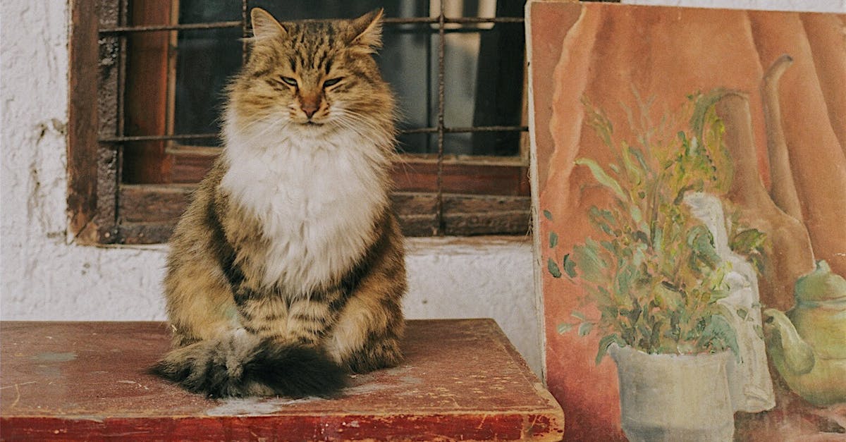 peinture de lambris : astuces et techniques pour sublimer vos murs avec élégance et durablement.