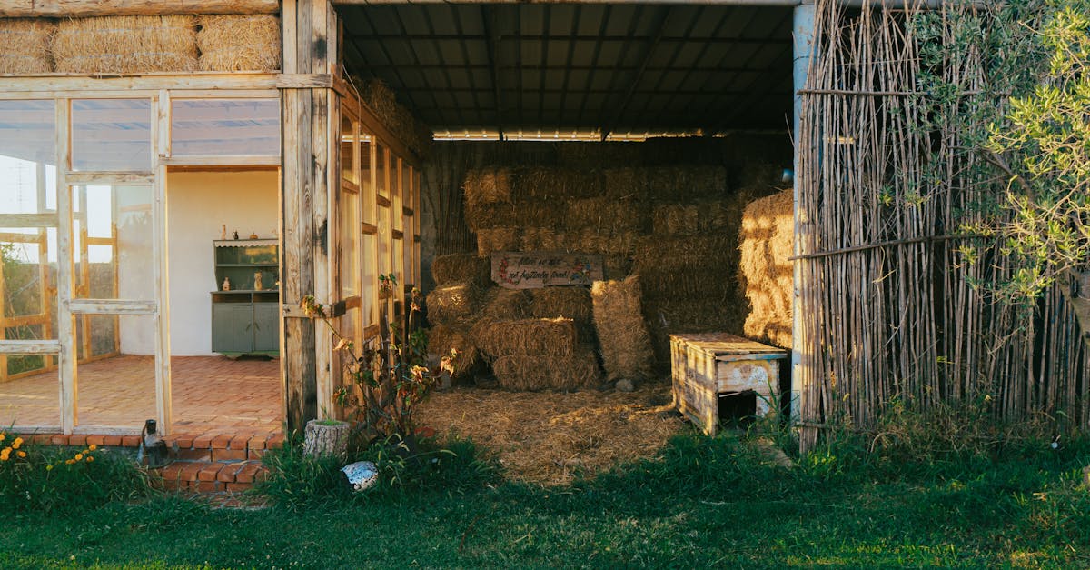 découvrez notre chaudière à granulés de bois : une solution économique et écologique pour chauffer votre maison avec énergie renouvelable.