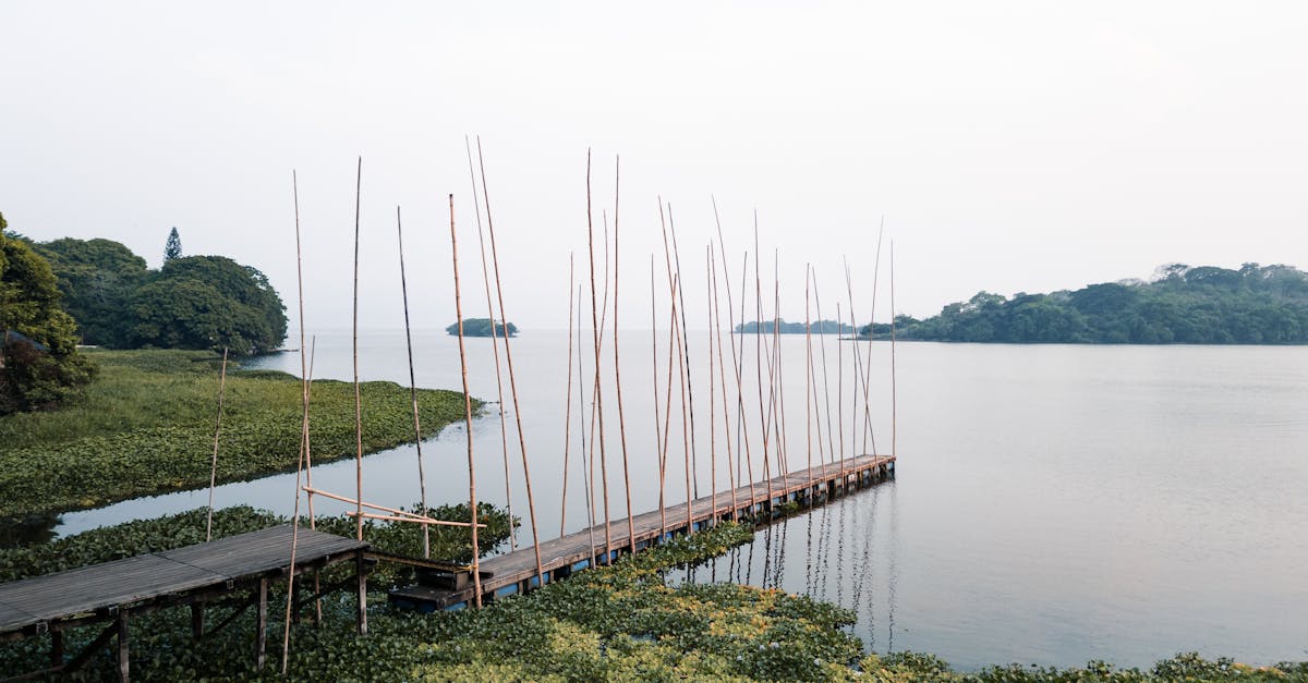 découvrez notre chaudière à granulés de bois performante et écologique, idéale pour un chauffage économique et durable de votre maison.