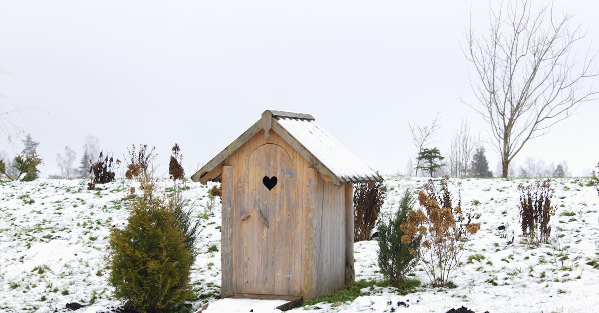 chaudière à granulés de bois : une solution de chauffage écologique, économique et efficace pour votre maison, utilisant des pellets de bois renouvelables.
