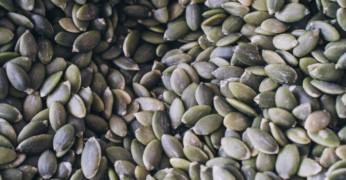 découvrez nos solutions de bardage en zinc alliant esthétisme, durabilité et protection optimale pour vos façades. idéal pour un design moderne et une longue résistance aux intempéries.