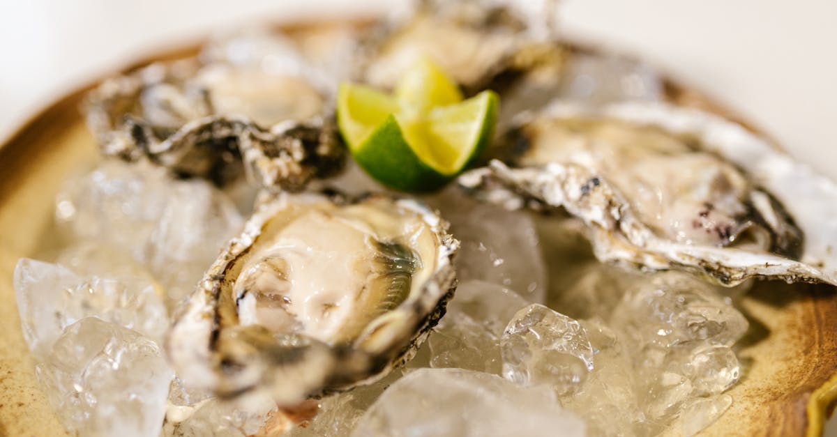 découvrez nos solutions de bardage en zinc alliant durabilité et esthétique pour protéger et embellir vos façades.