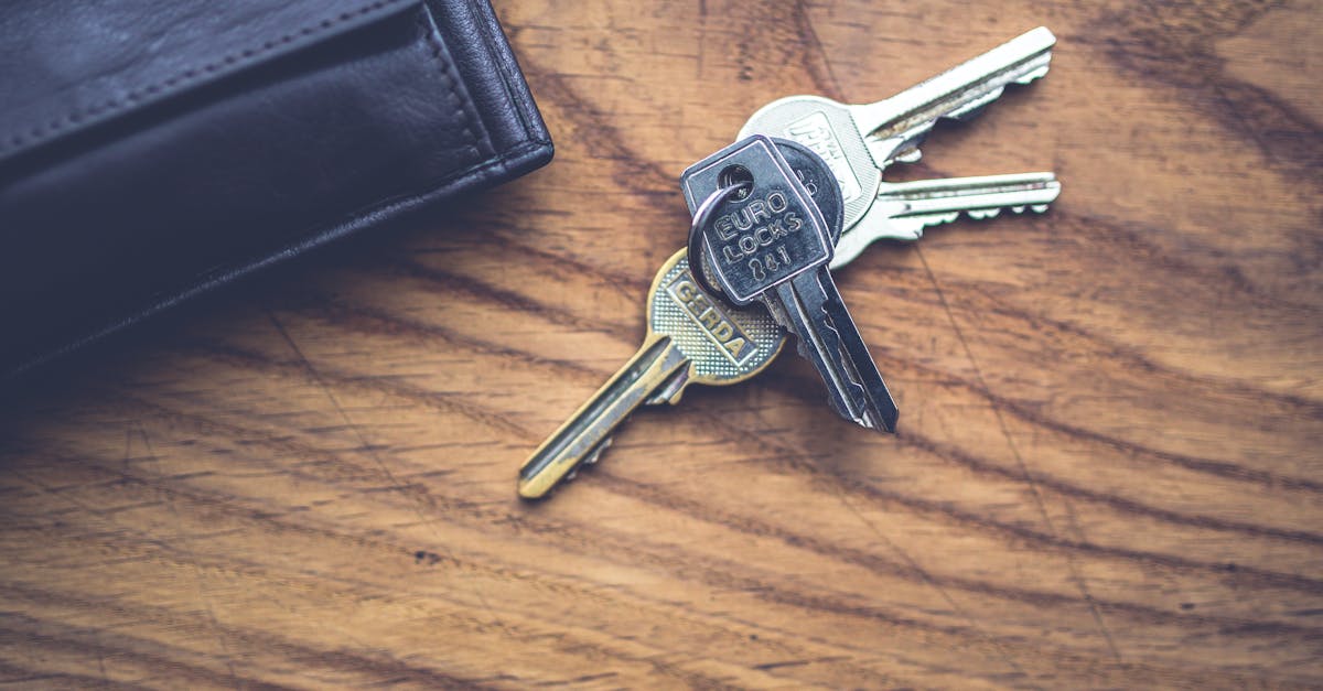 guide complet pour peindre une porte : conseils pratiques, étapes détaillées et astuces pour un résultat professionnel.