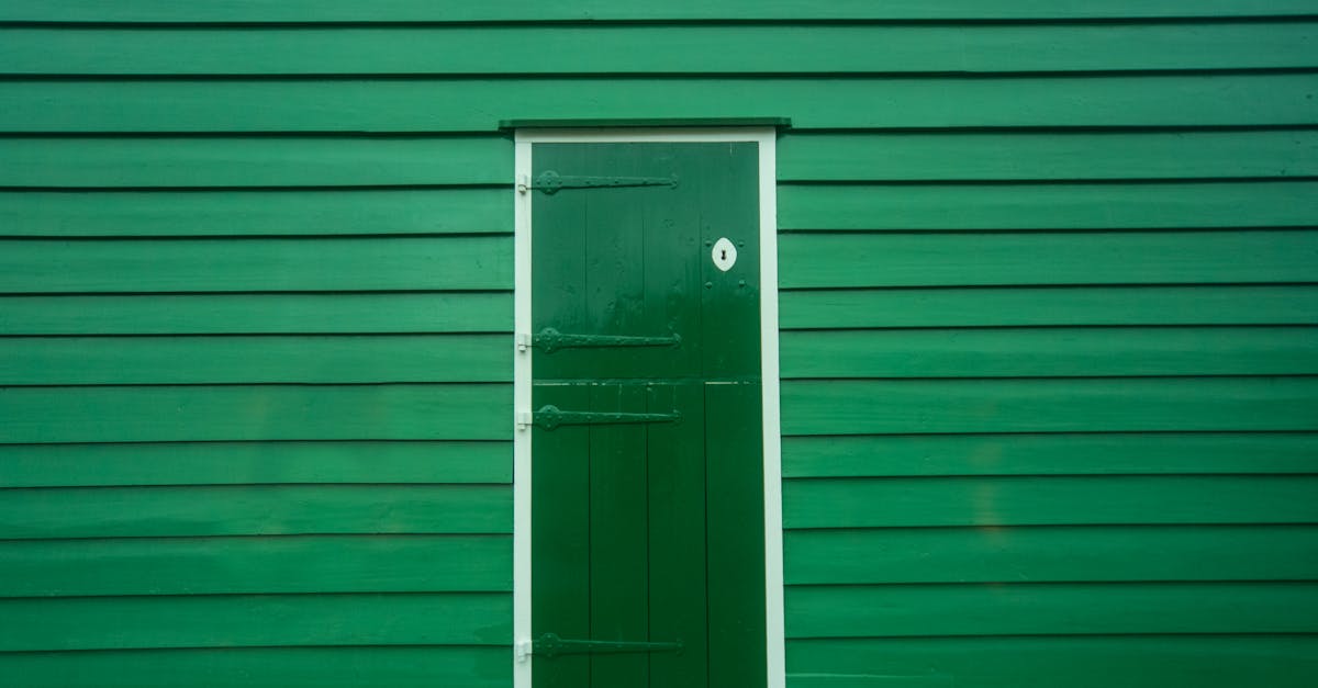 guide complet pour la peinture des portes : conseils, techniques et astuces pour un résultat professionnel et durable.